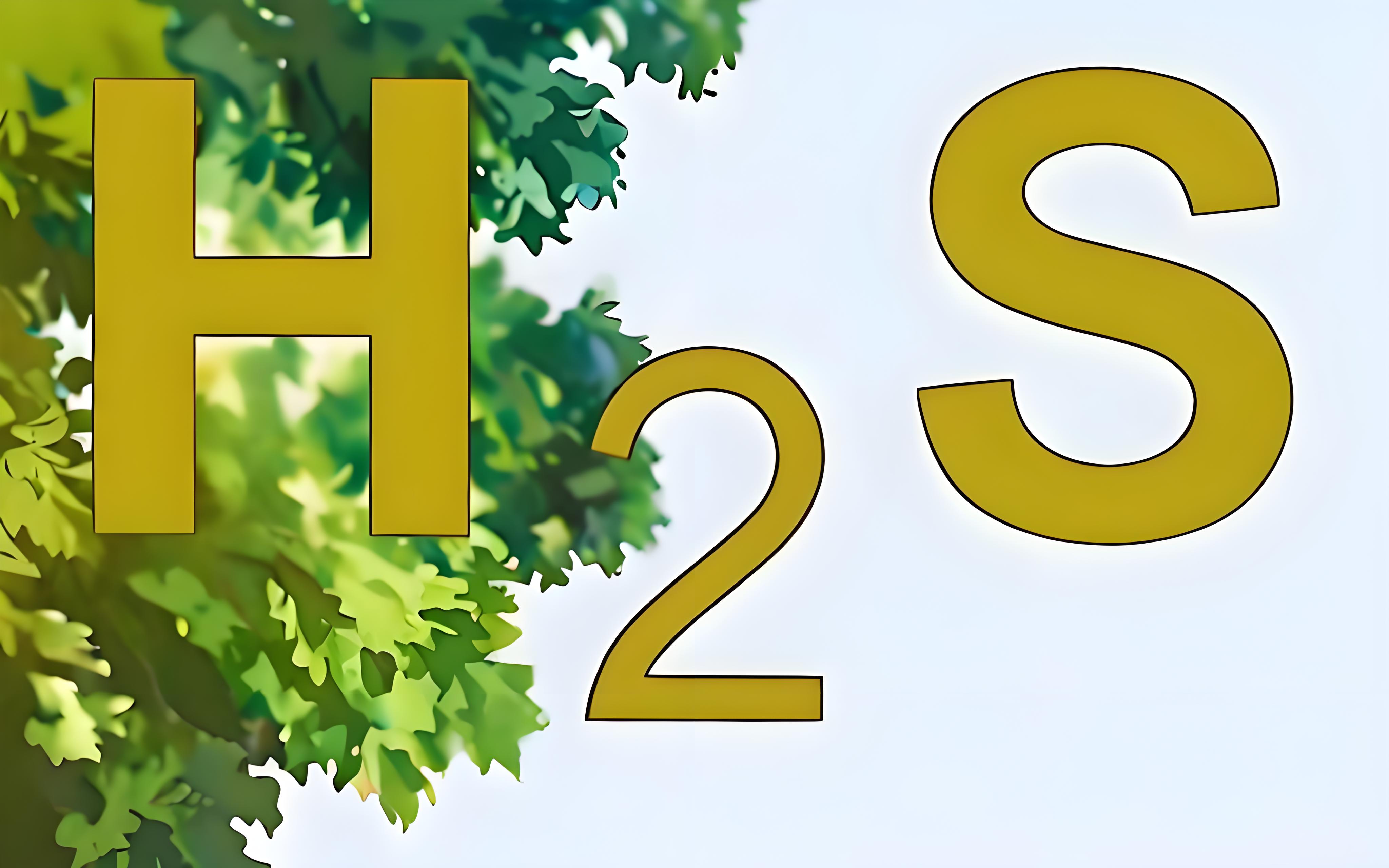 氣體檢測儀氫氣報警閾值和硫化氫的有什么區(qū)別？